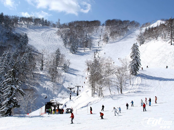 2017日本熱門滑雪推薦-富良野