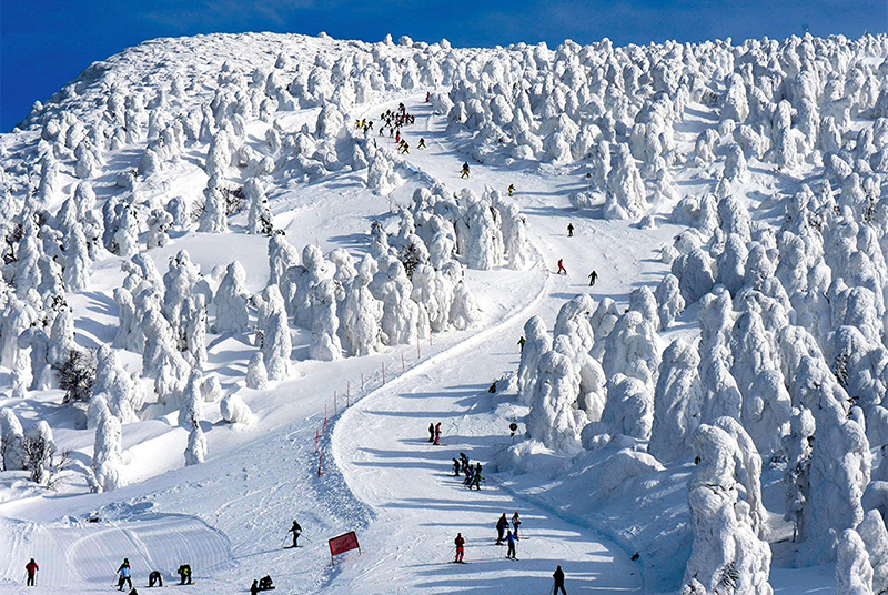熱門日本滑雪場-藏王溫泉
